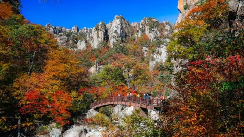 10 Interesting Natural Tourism Destinations in South Korea to Visit