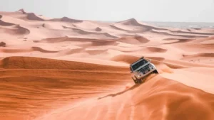 Desert Safari In Dubai: Easy-to-use adventure guide