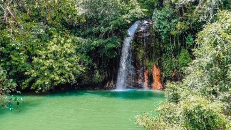 Tasek Lama Recreation Park, Get to Know Natural Paradise in Brunei Darussalam