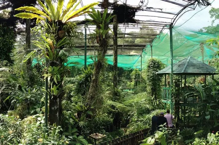 Kuala Lumpur Butterfly Park