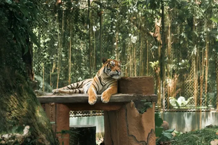 National Zoo of Malaysia
