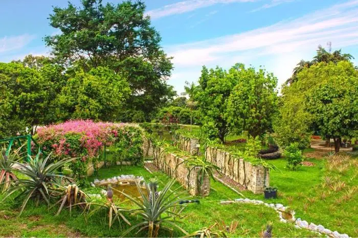 Penang Tropical Fruit Farm