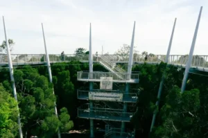 The Habitat Penang Hill