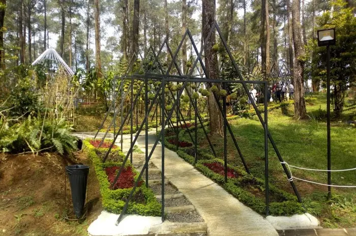 Must-Visit Tourist Attractions in Bandung